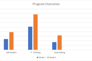 Grade School Positive Program Results